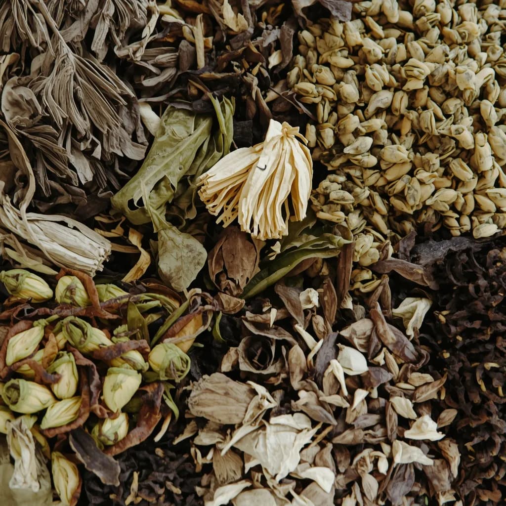 Dried herbs used by healers and brewers.